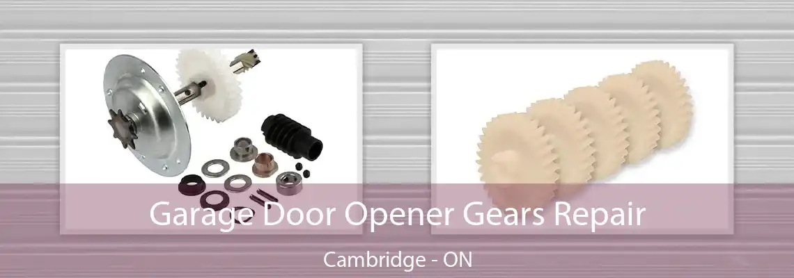 Garage Door Opener Gears Repair Cambridge - ON